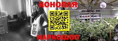 apvp Гагарин
