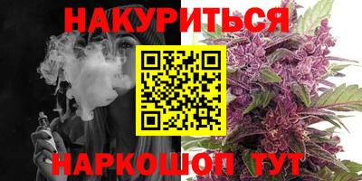 apvp Гагарин