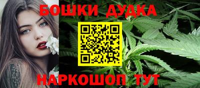 шишки Гай