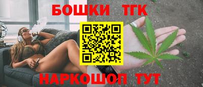 шишки Гай