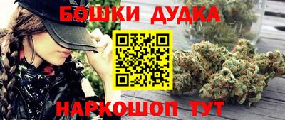 шишки Гай