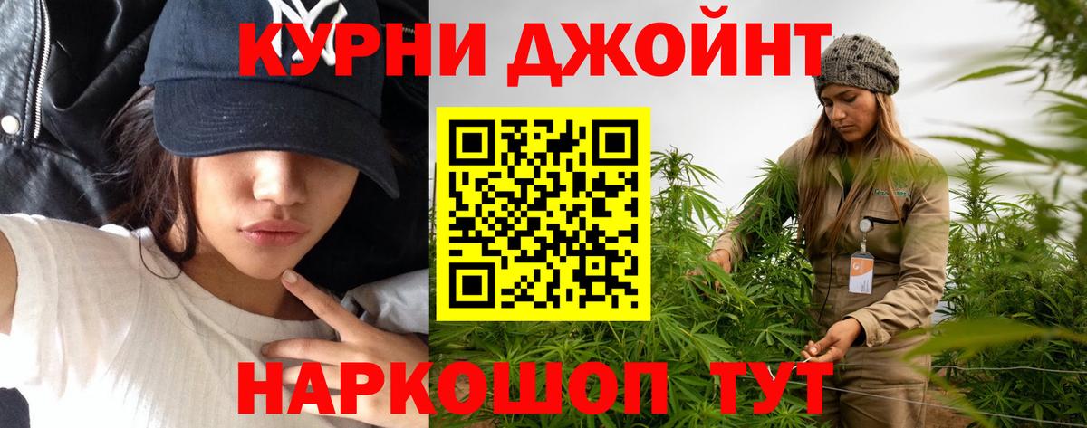 Бошки Шишки семена Междуреченск